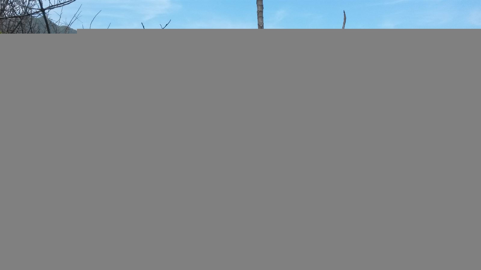 Turismo en America Latina - Tayrona