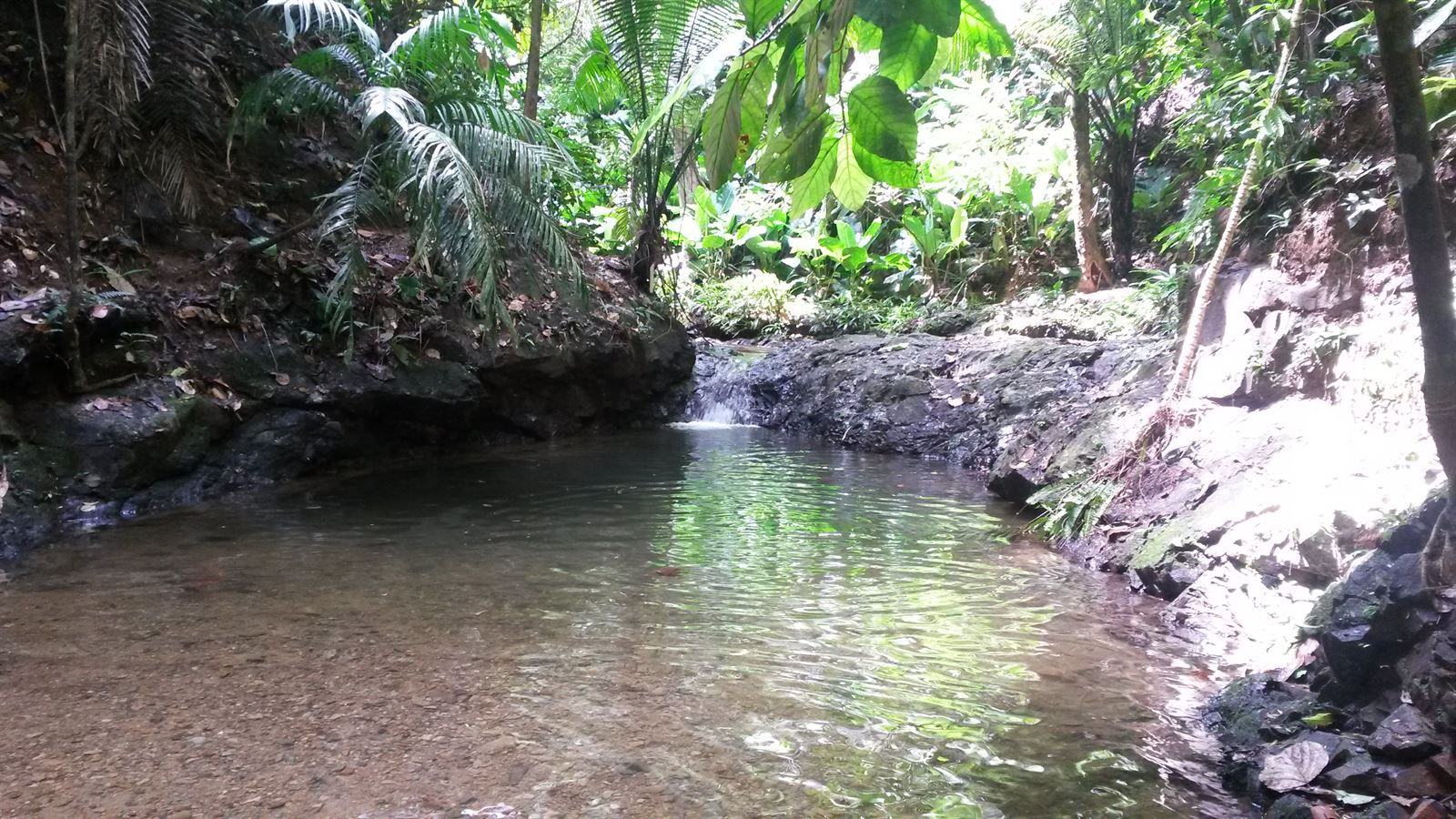 Turismo en America Latina - Capurganá y Sapzurro