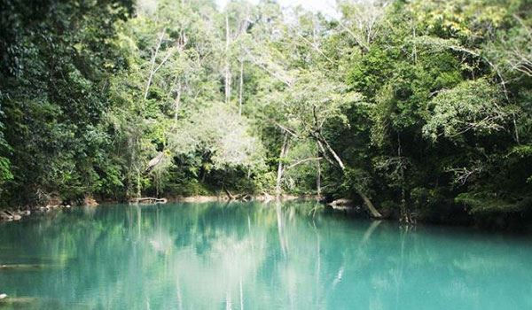 Turismo en America Latina - Palenque