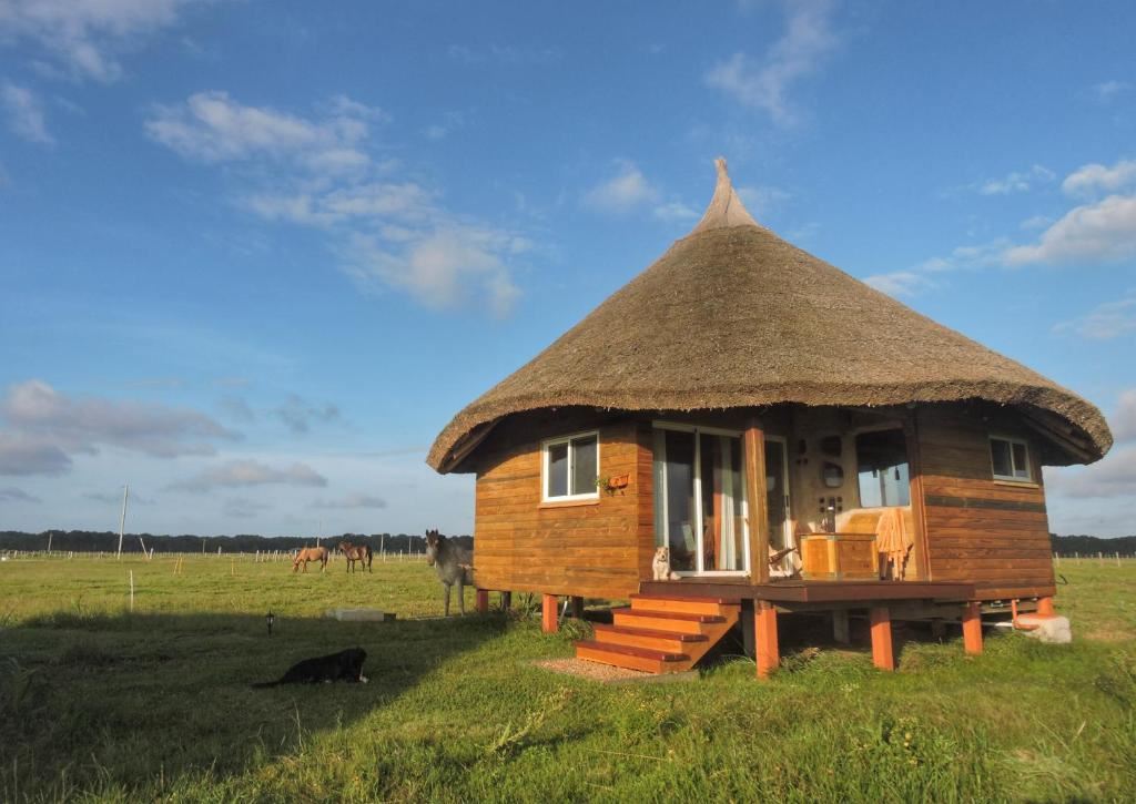 Turismo en America Latina - Los Chajá Ecolodge