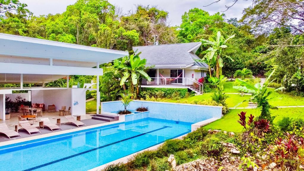 Turismo en America Latina - Aves Hotel Montezuma 