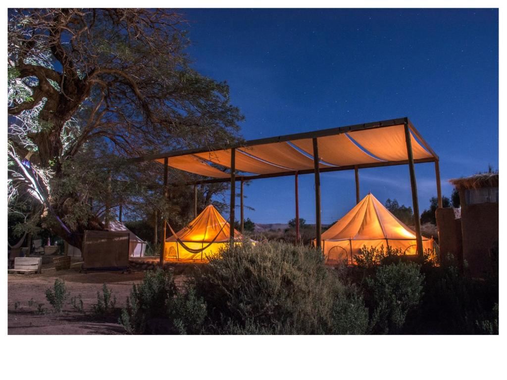 Turismo en America Latina - Atacama Loft & Glamp