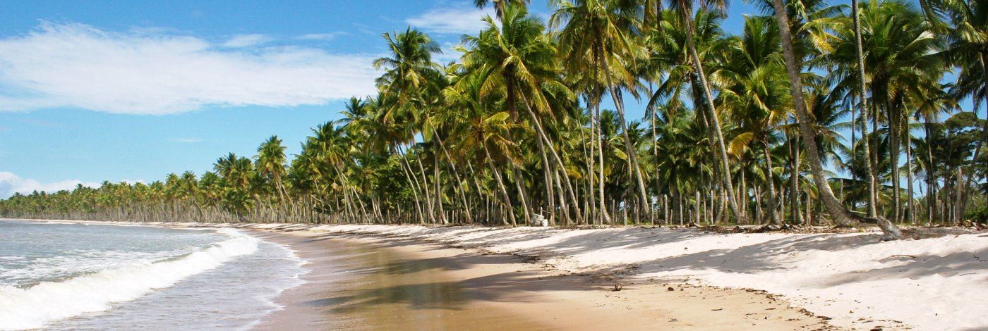 Ilha de Boipeba turismo