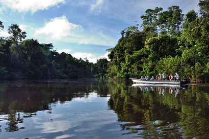 Turismo en America Latina - Tambopata