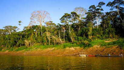 Turismo en America Latina - Tambopata