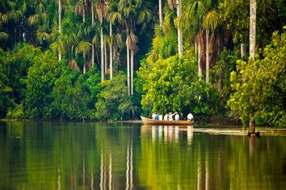 Turismo en America Latina - Tambopata