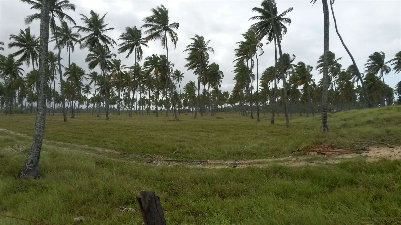 Turismo en America Latina - Porto de Galinhas