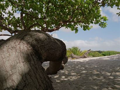 Turismo en America Latina - Lençois Maranhenses