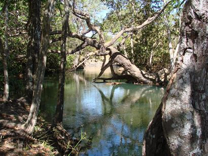 Turismo en America Latina - Chapada dos Guimarães