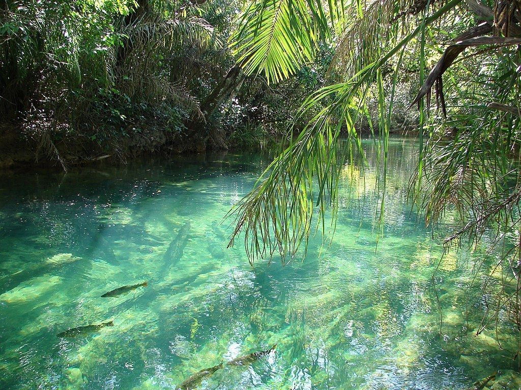 Turismo en America Latina - Bonito
