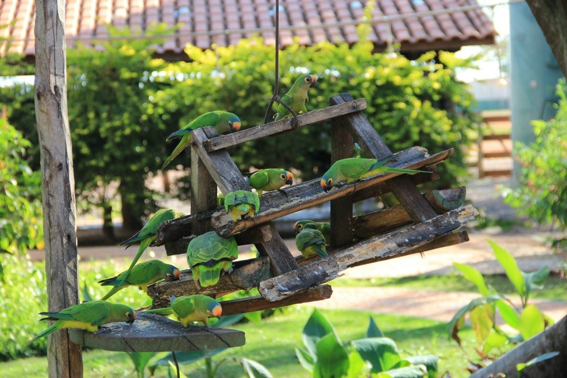 Turismo en America Latina - Bonito