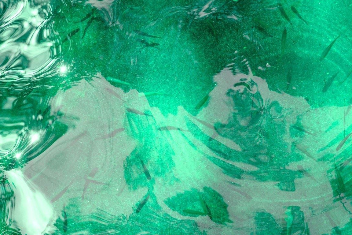 Turismo en America Latina - Bonito