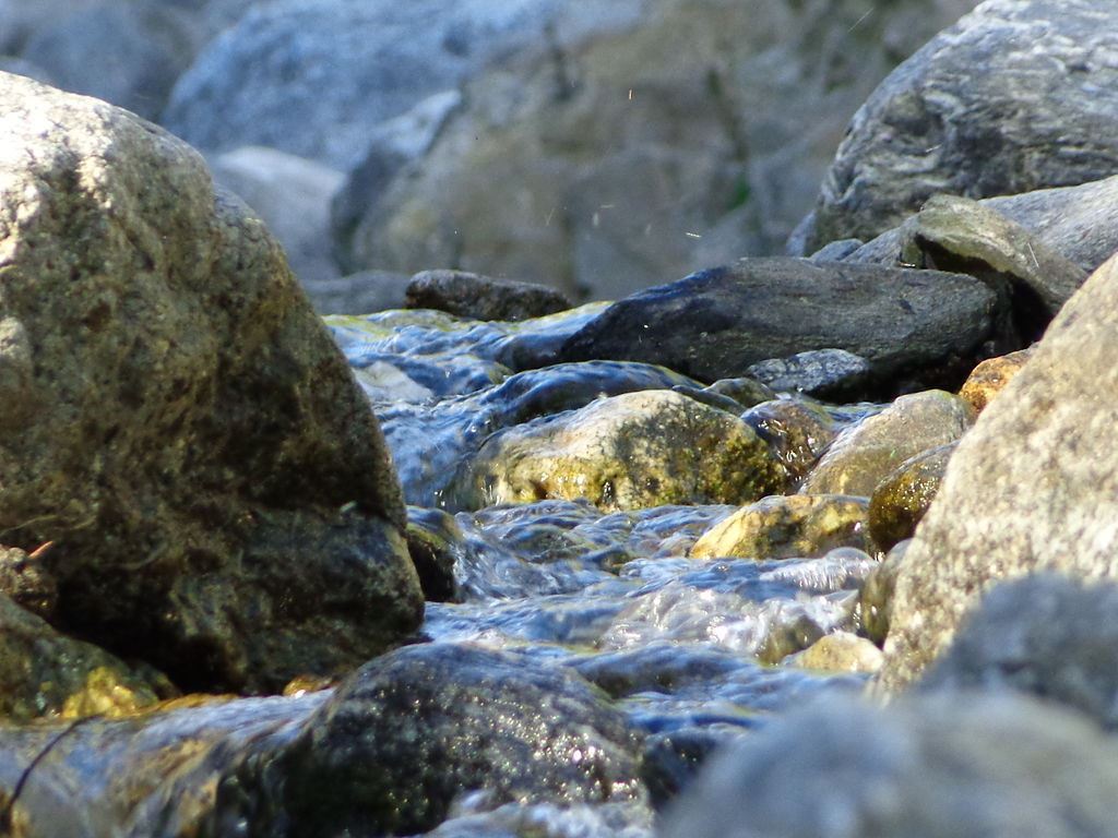 Turismo en America Latina - Merlo