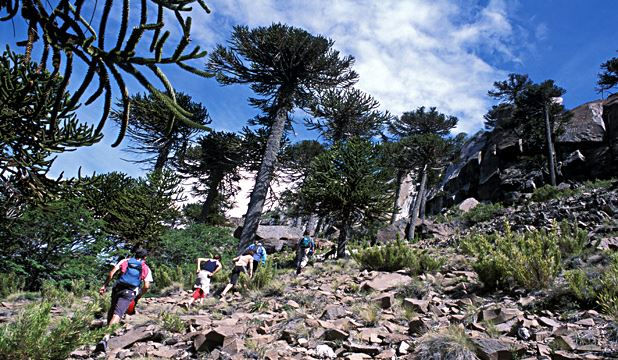 Turismo en America Latina - Caviahue