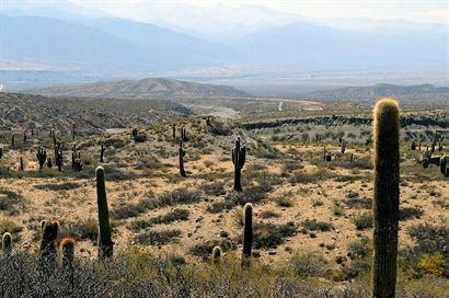 Turismo en America Latina - Salta