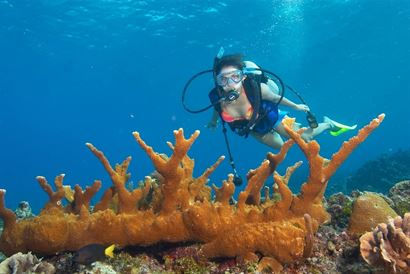 Turismo en America Latina - Taganga