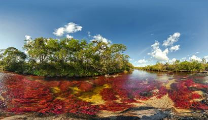 Turismo en America Latina - Caño Cristales