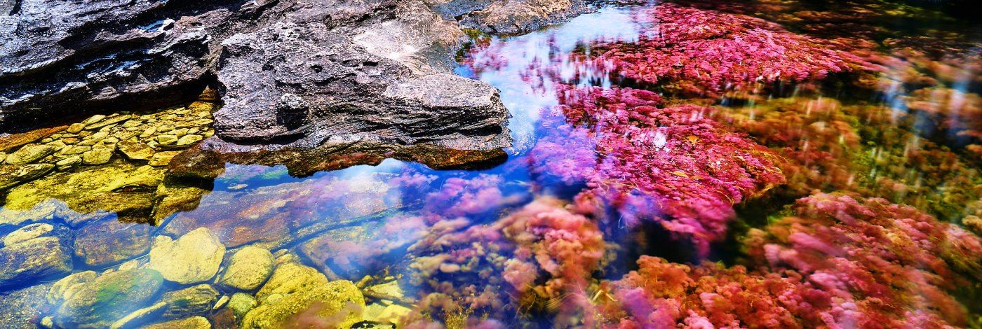 Caño Cristales turismo