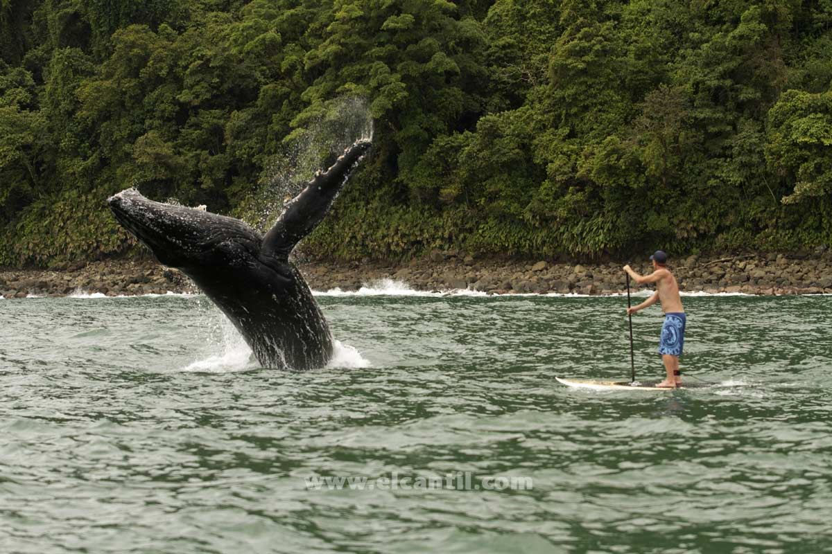 Turismo en America Latina - Nuquí