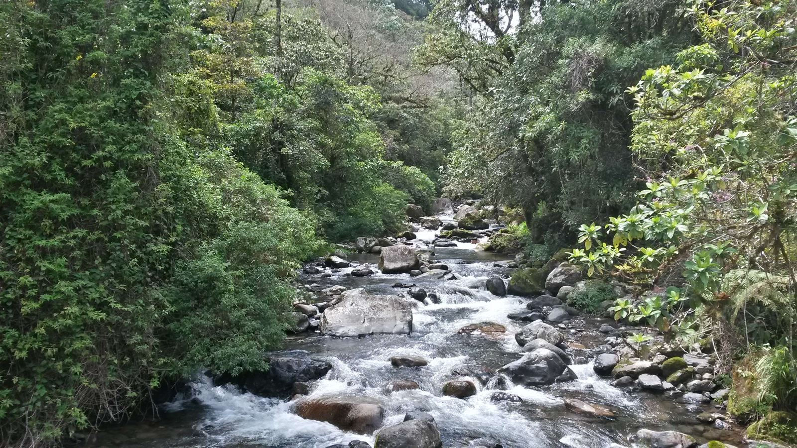 Turismo en America Latina - Boquete