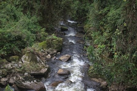 Turismo en America Latina - San Agustín