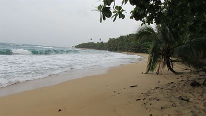 Turismo en America Latina - Puerto Viejo de Talamanca