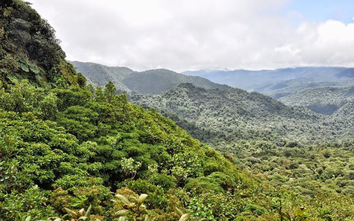 Turismo en America Latina - Monteverde