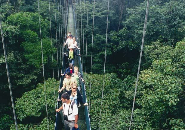 Turismo en America Latina - Monteverde