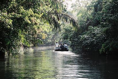 Turismo en America Latina - Tortuguero