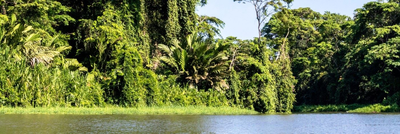 Tortuguero turismo