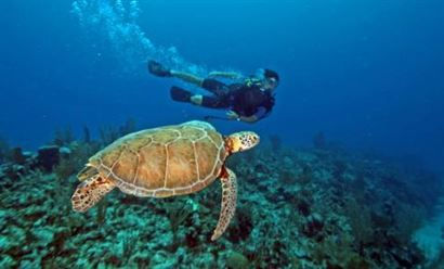 Turismo en America Latina - Tulum