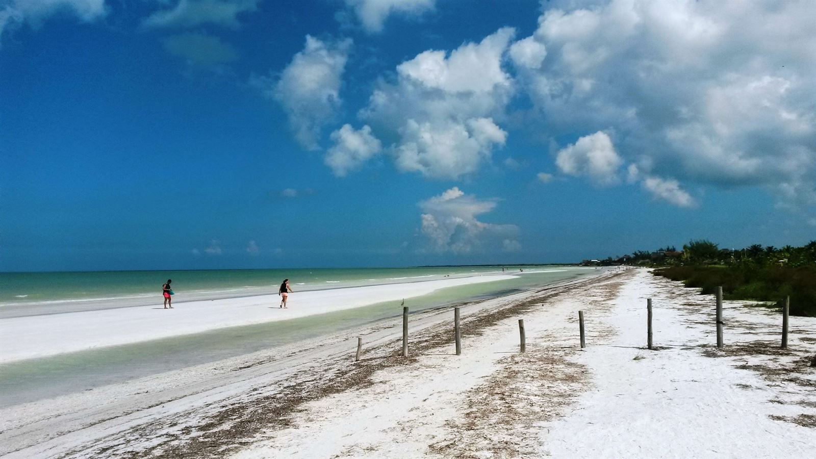 Turismo en America Latina - Holbox