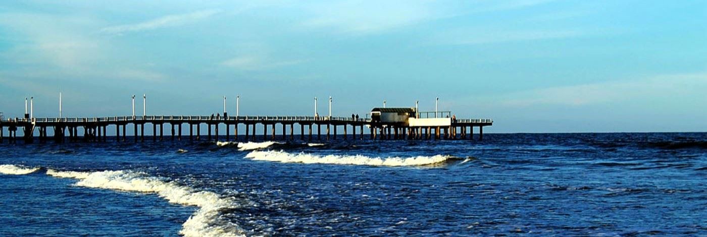 San Bernardo y Mundo Marino