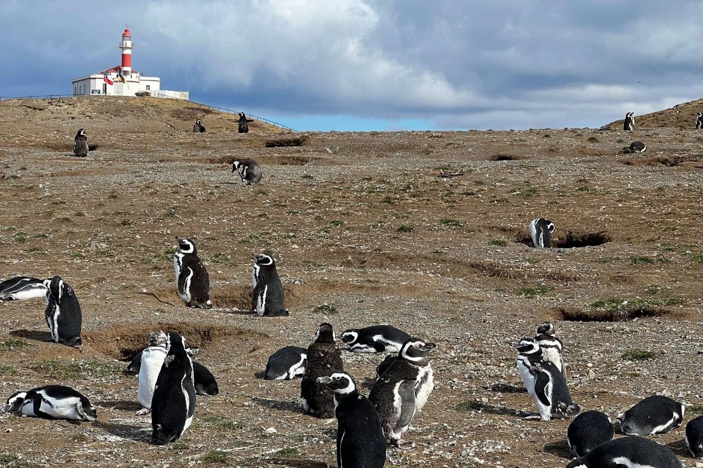 Turismo en America Latina - Punta Arenas