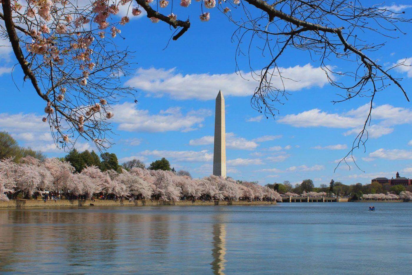 Turismo en America Latina - Washington DC