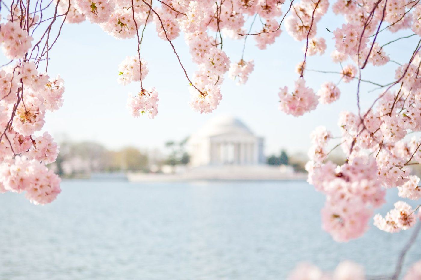 Turismo en America Latina - Washington DC