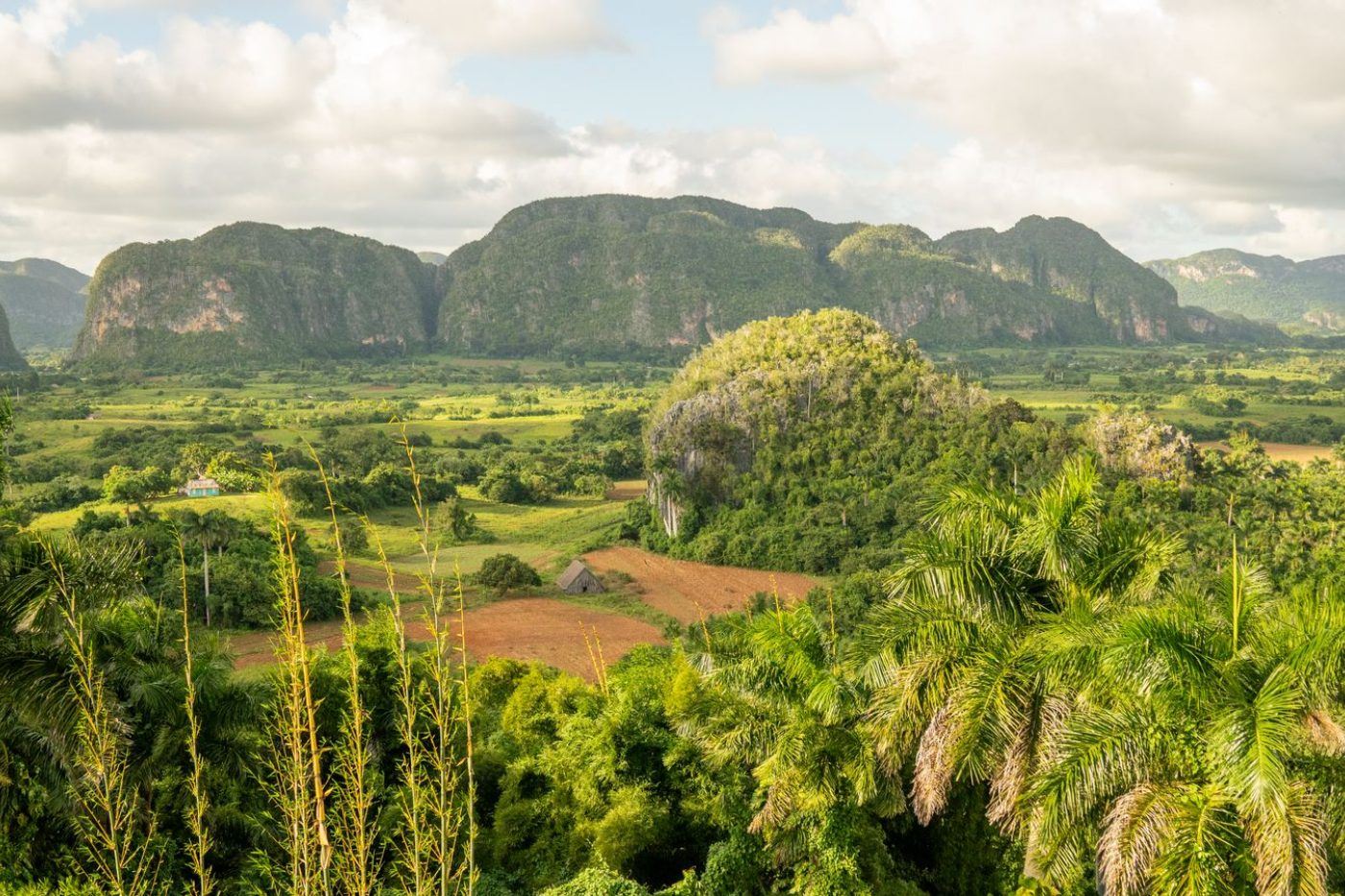 Turismo en America Latina - Viñales