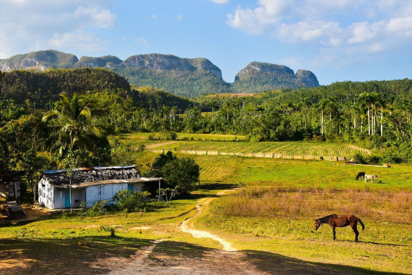 Turismo en America Latina - Viñales