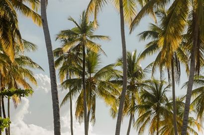 Turismo en America Latina - Samaná