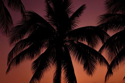 Turismo en America Latina - Cayo Coco