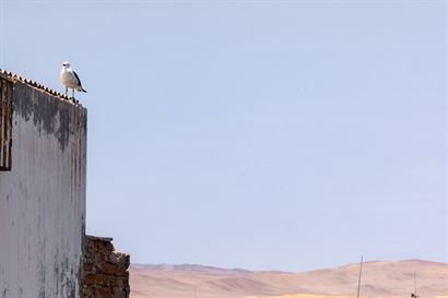 Turismo en America Latina - Paracas