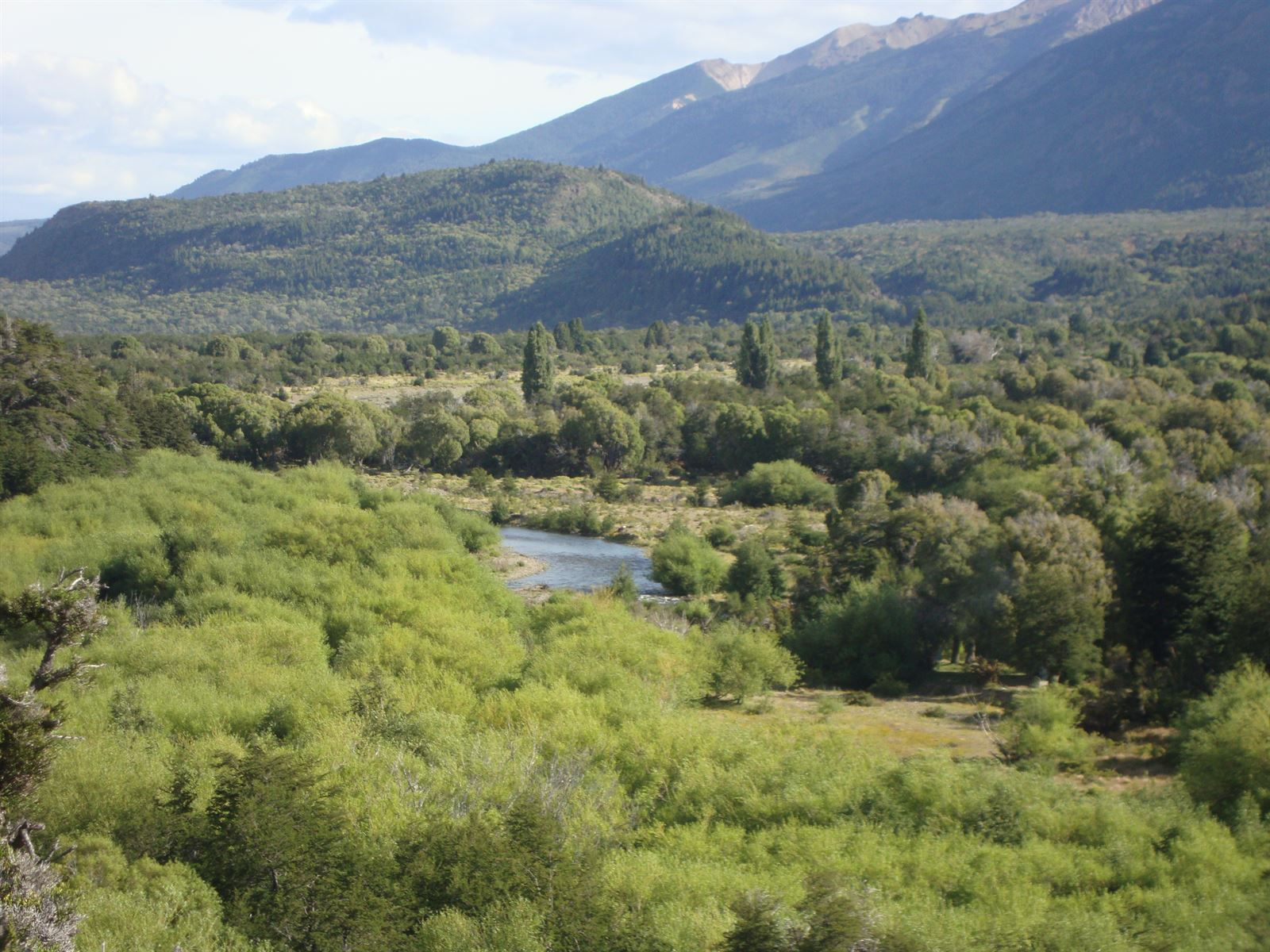 Turismo en America Latina - Los Alerces