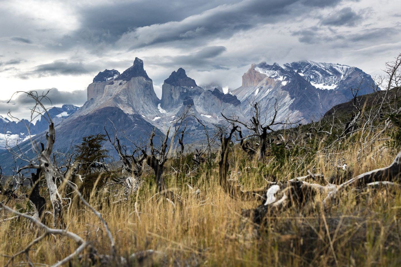 Turismo en America Latina - Torres del Paine